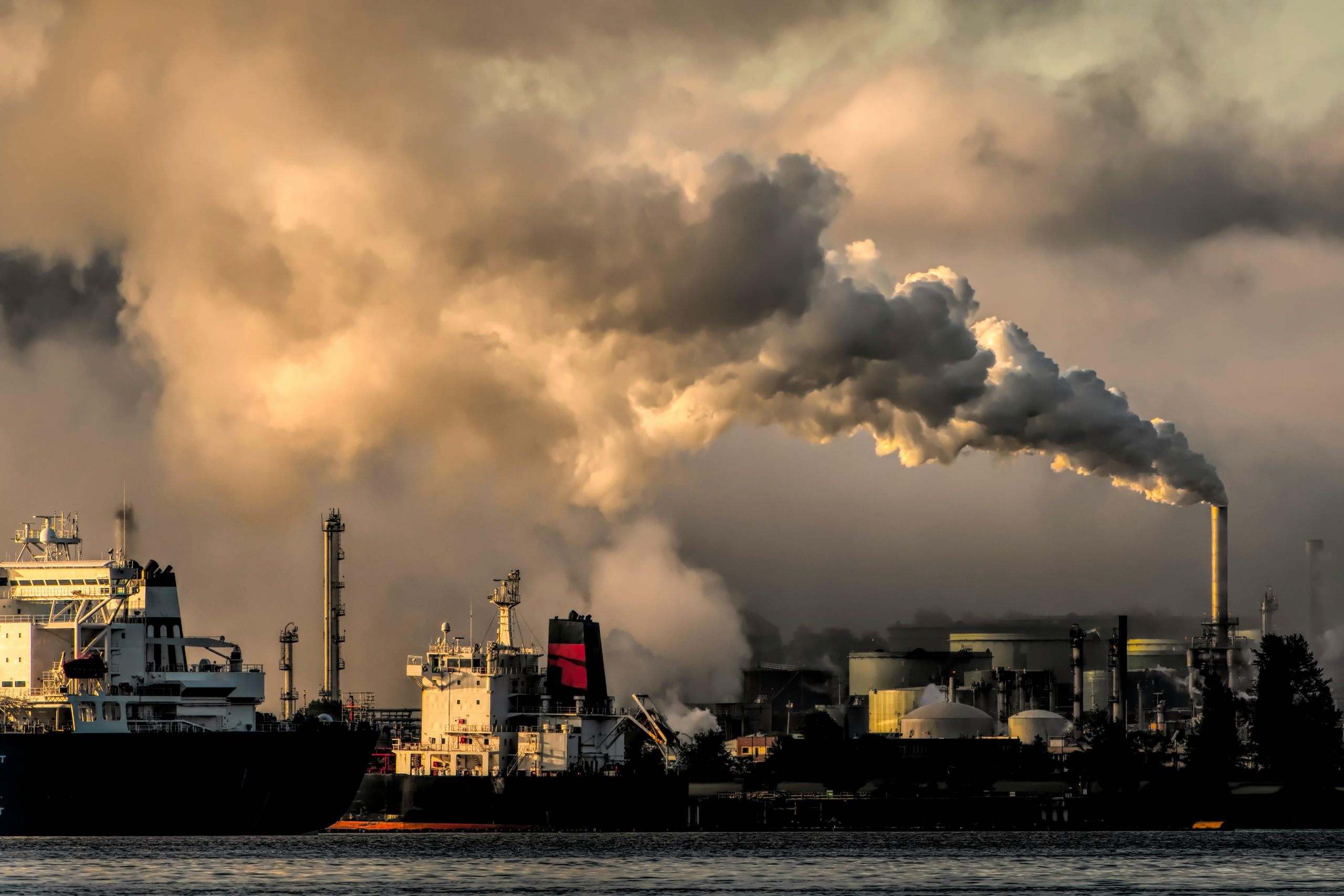 qual-sera-o-impacto-do-mercado-de-carbono-regulamentado-para-a-agricultura-brasileira