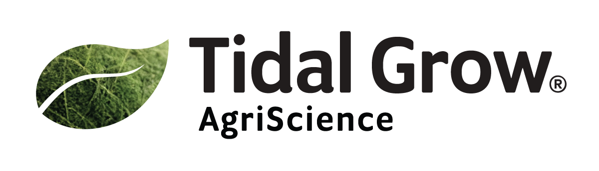 Tidal